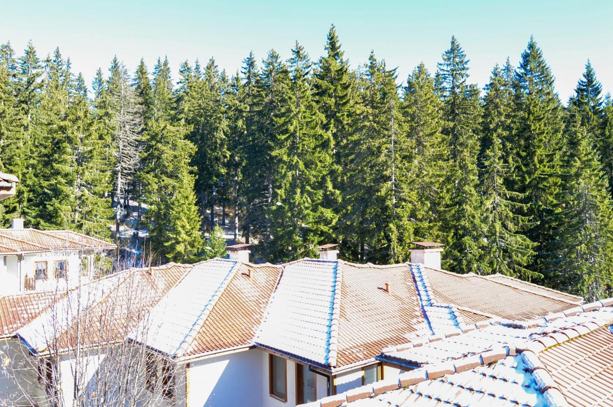 Myplace Pamporovo Апартаменти За Отдих Екстер'єр фото